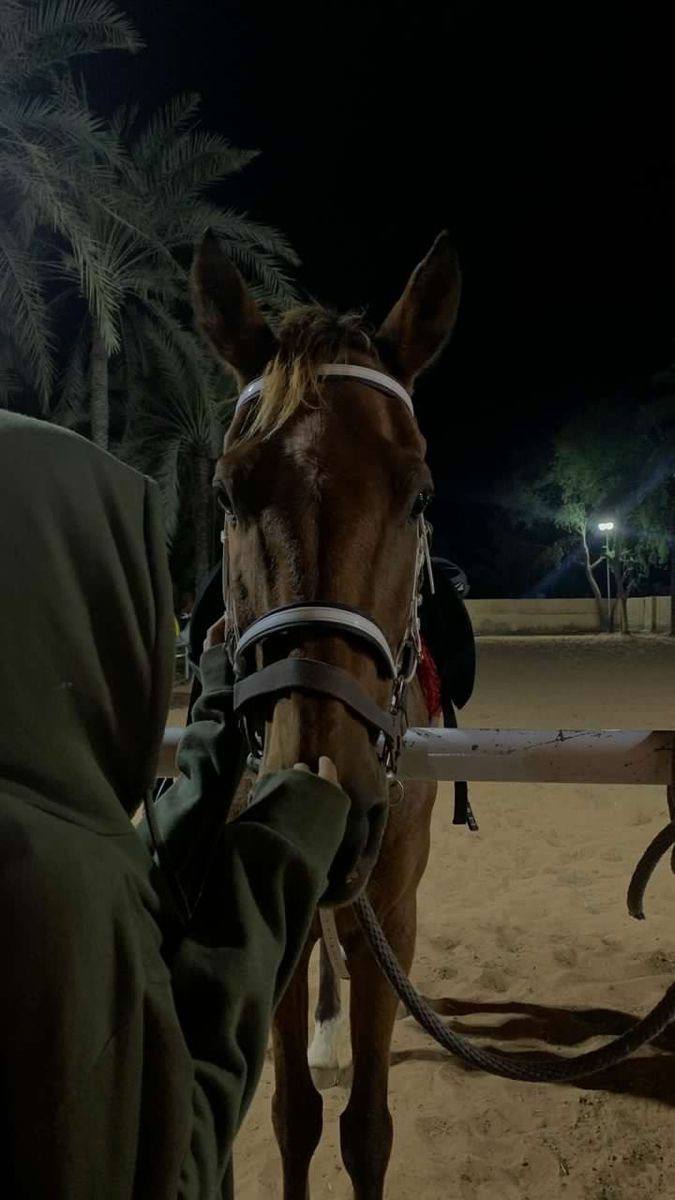 Система управления задачами - JavaScript приложение